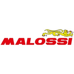 Malossi